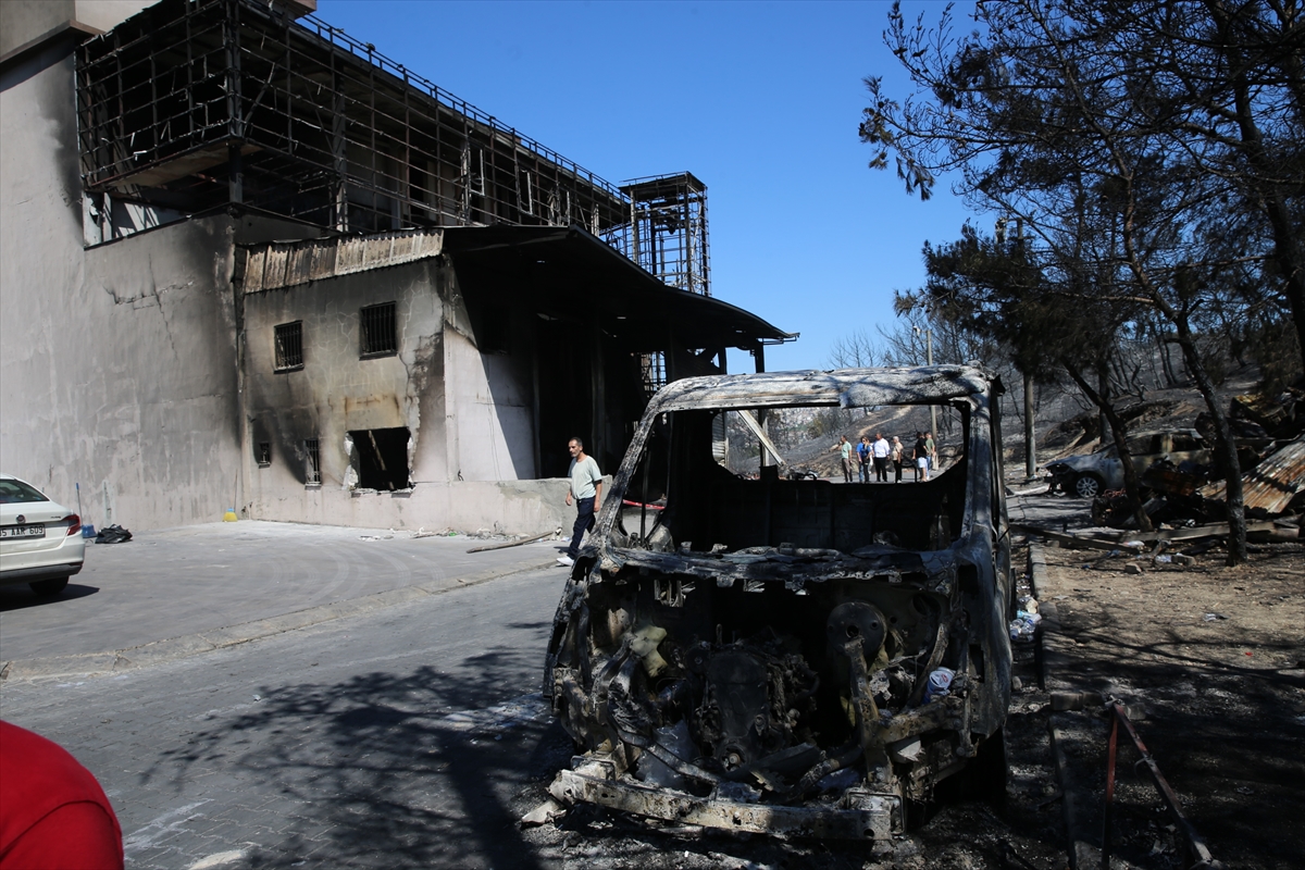 A A 20250630 38427759 38427750 I Z M I R D E O R M A N Y A N G I N I N I N S I C R A D I G I G A L E R I C I L E R S I T E S I N D E H A S A R I N B O Y U T U O R T A Y A C I K T I