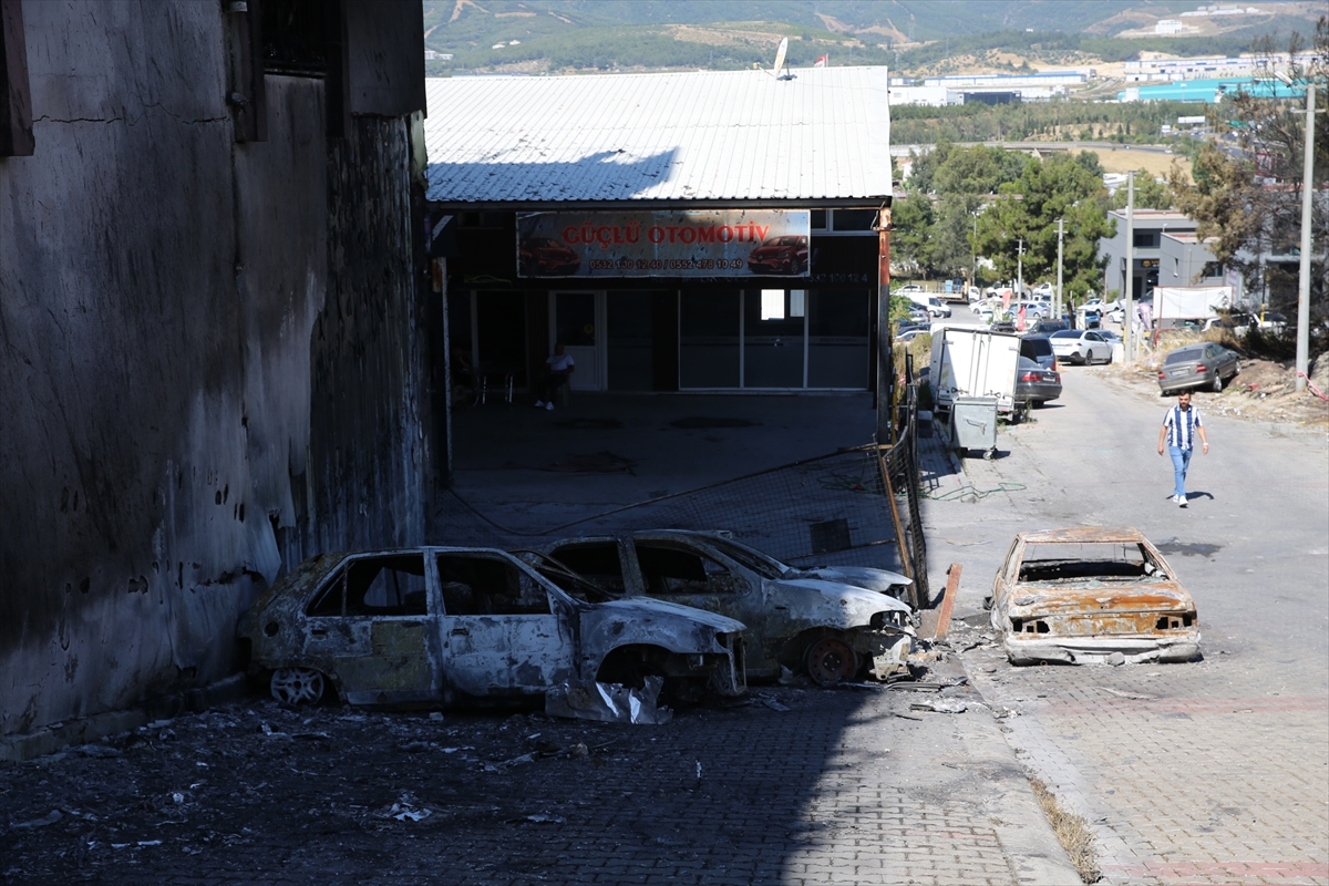 A A 20250630 38427759 38427753 I Z M I R D E O R M A N Y A N G I N I N I N S I C R A D I G I G A L E R I C I L E R S I T E S I N D E H A S A R I N B O Y U T U O R T A Y A C I K T I