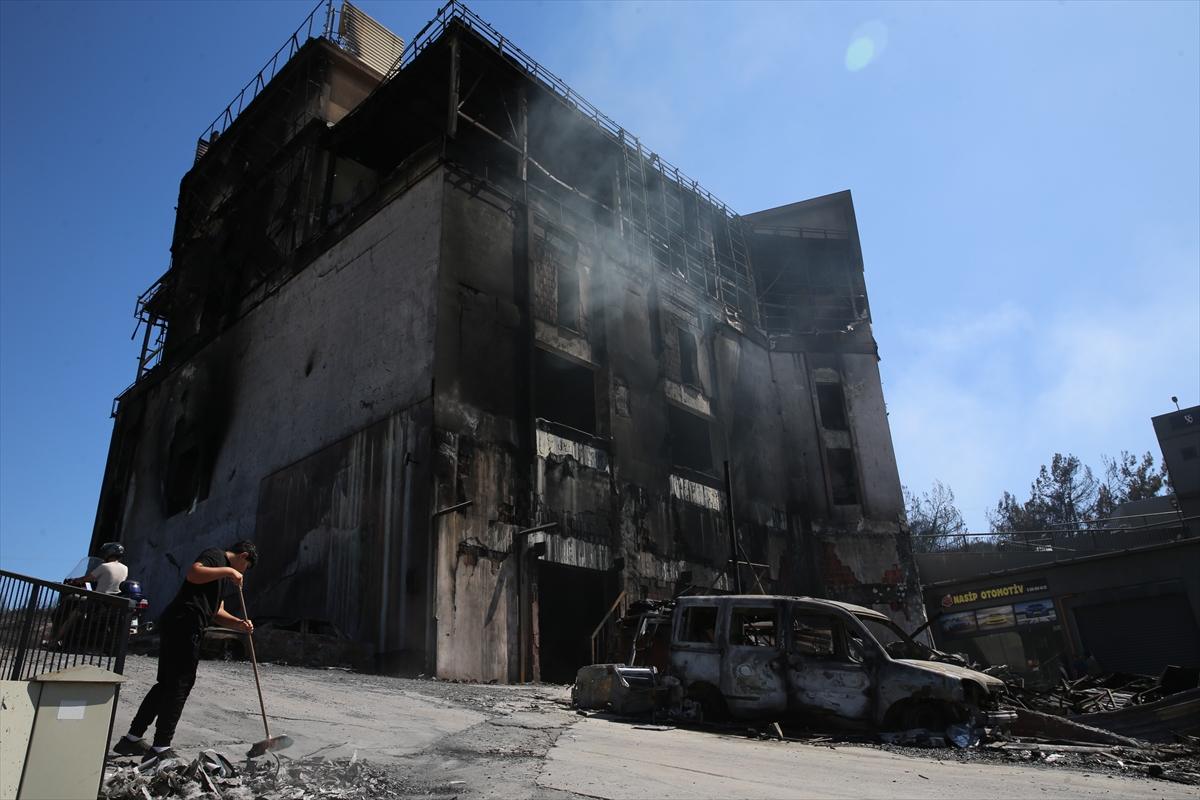 A A 20250630 38427759 38427756 I Z M I R D E O R M A N Y A N G I N I N I N S I C R A D I G I G A L E R I C I L E R S I T E S I N D E H A S A R I N B O Y U T U O R T A Y A C I K T I