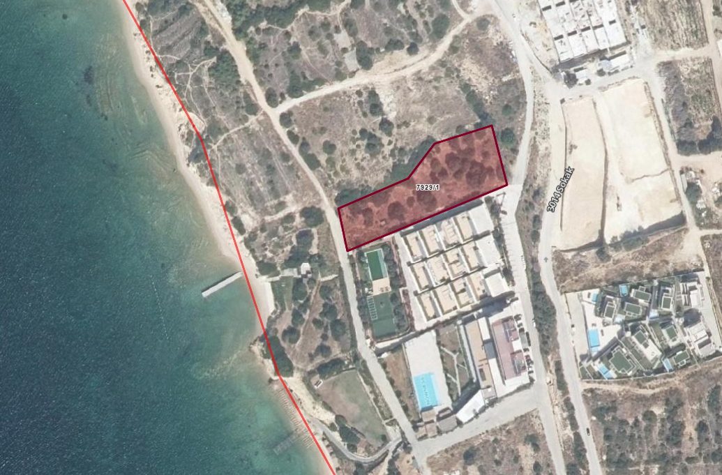 F E W F E W F W E F E W W E