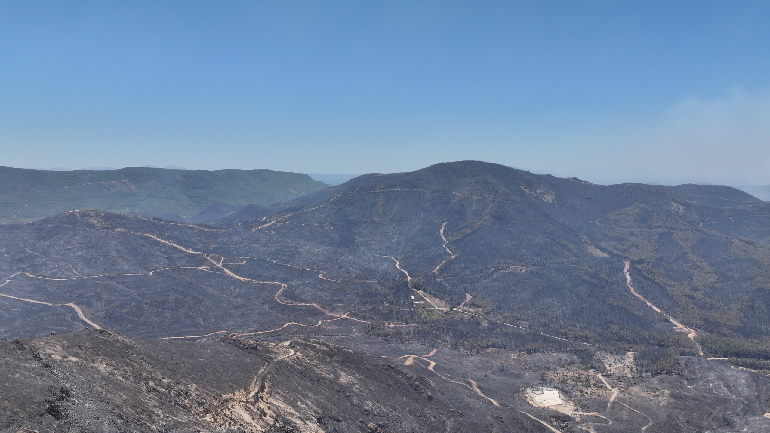 02.07.2025 895Ec50B 9Aa8 4011 8C81 7463C3C78Cd5