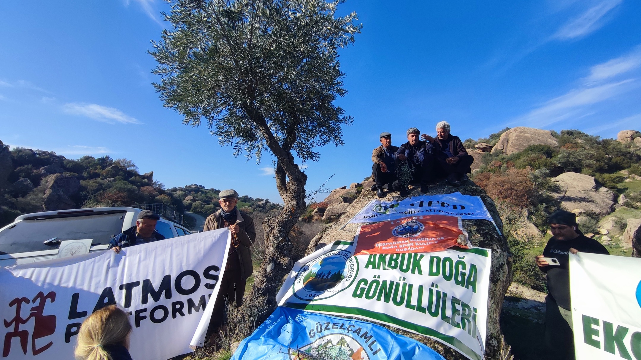 517342311 17939538741013203 6441490897441163642 N