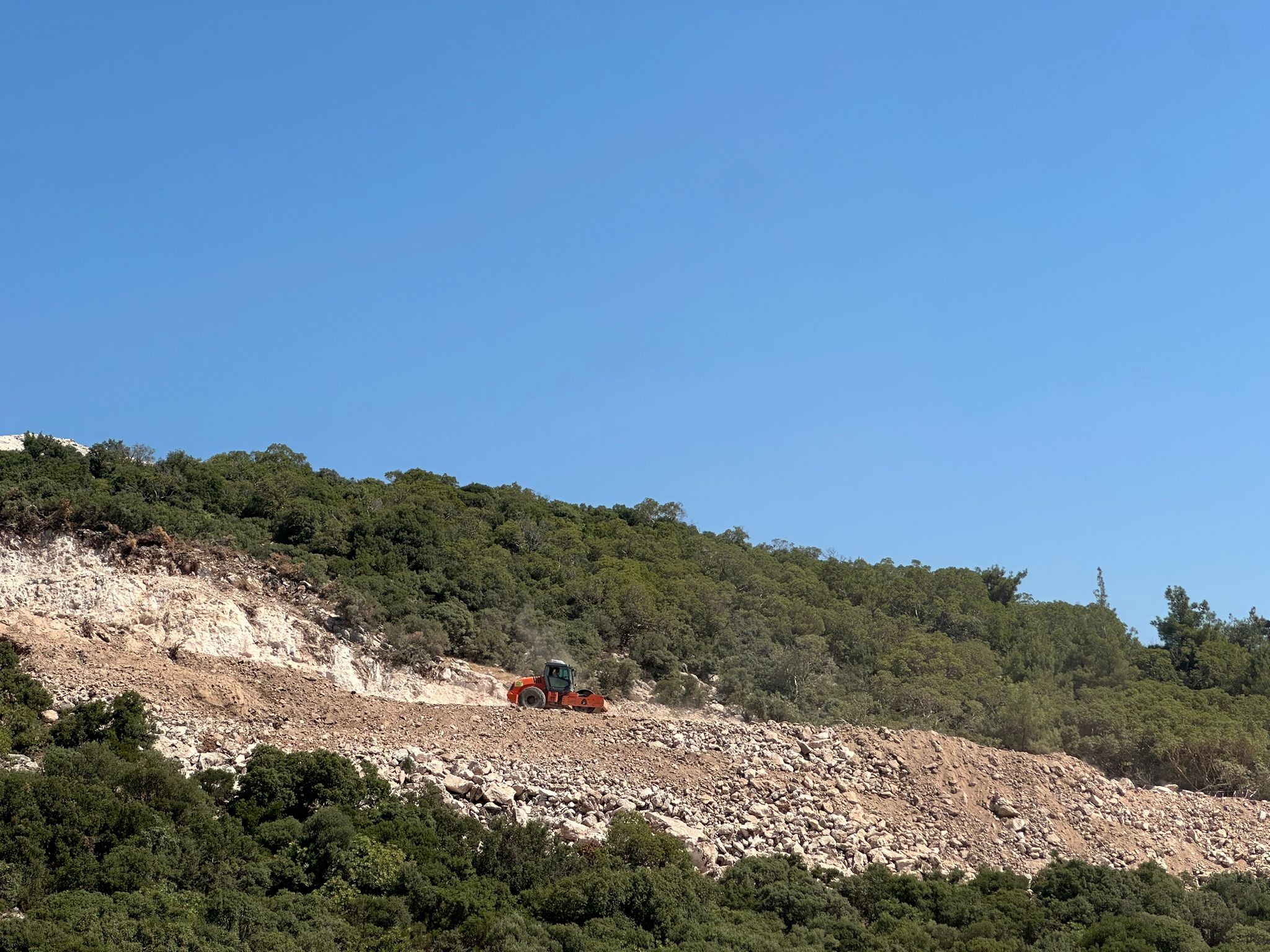 522659386 23917078891320009 4350412780224761942 N (1)