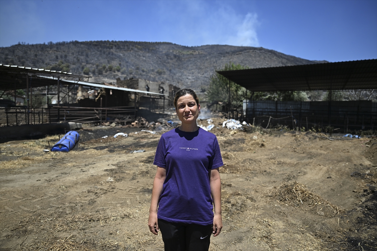 A A 20250705 38476255 38476248 Y A N G I N D A E V I N I V E A H I R I N I K A Y B E T T I A L E V L E R D E N K U R T U L A N 4 I N E G I T E S E L L I S I O L D U