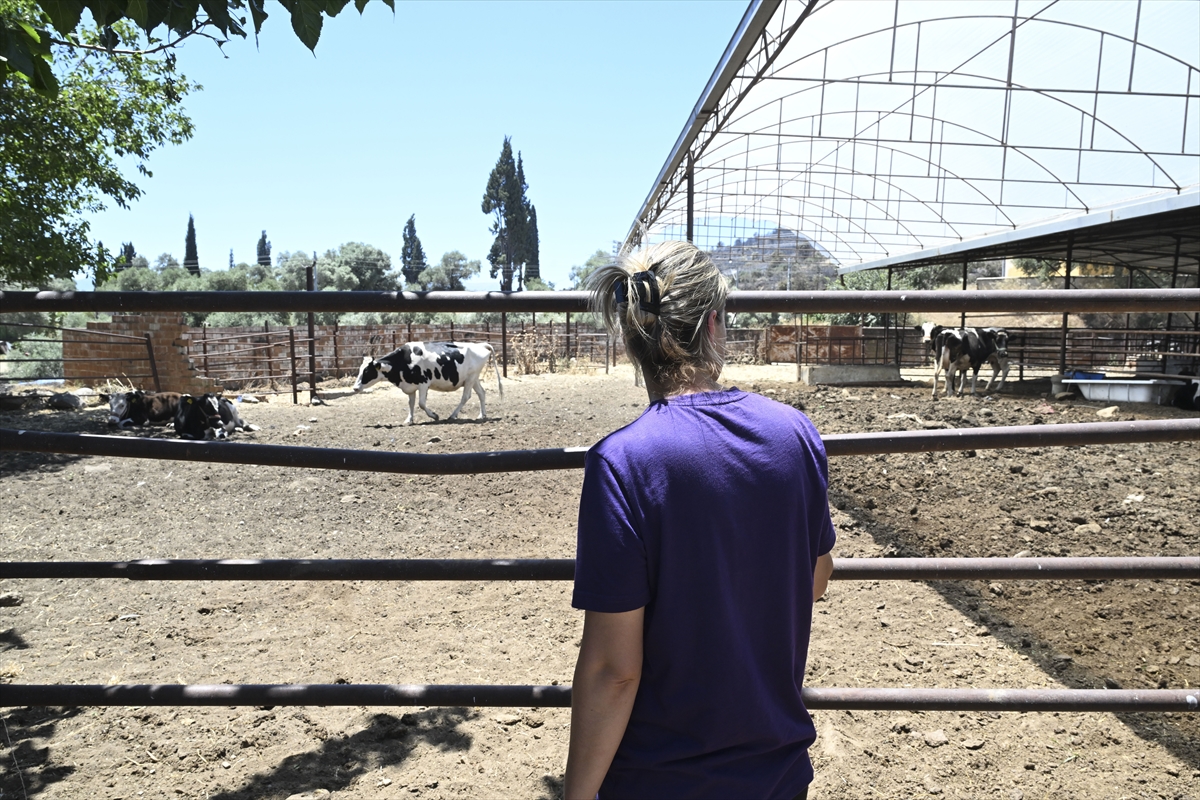 A A 20250705 38476255 38476250 Y A N G I N D A E V I N I V E A H I R I N I K A Y B E T T I A L E V L E R D E N K U R T U L A N 4 I N E G I T E S E L L I S I O L D U