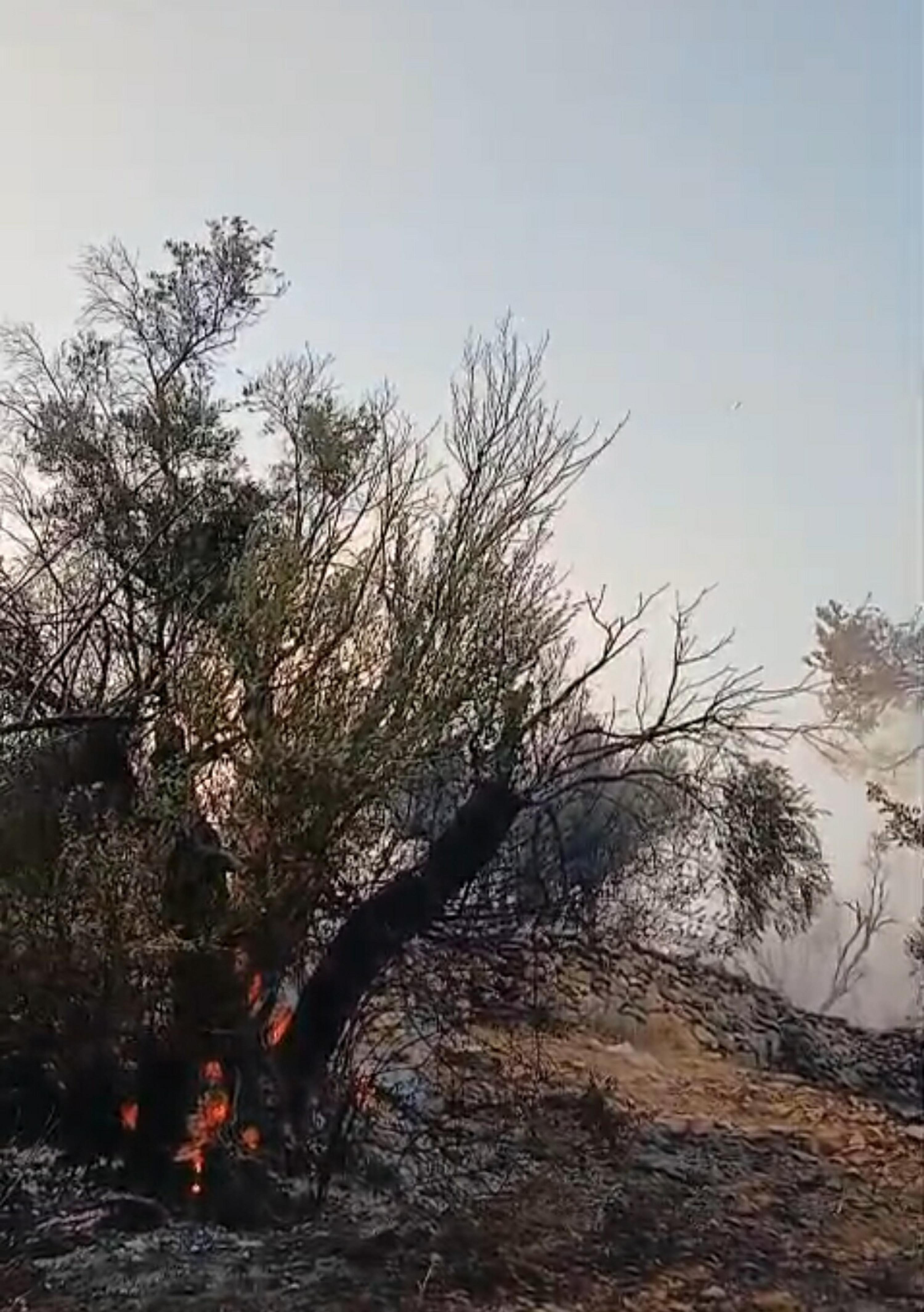 M I L A S T A K I Z E Y T I N L I K Y A N G I N I 12 S A A T T E K 800193 236859