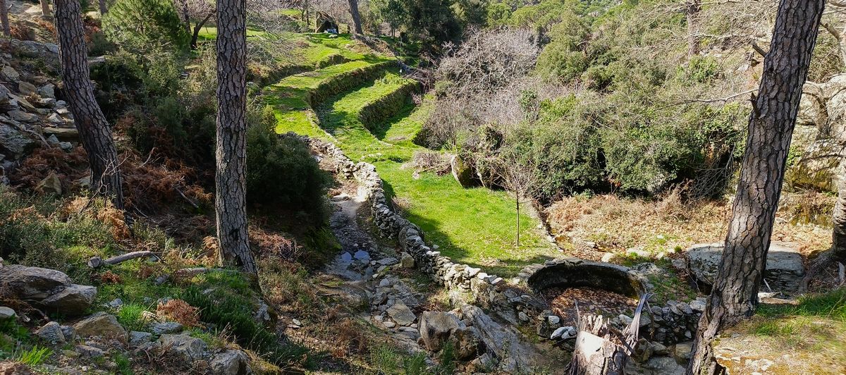 504377345 1188228160010956 4514763620116289264 N