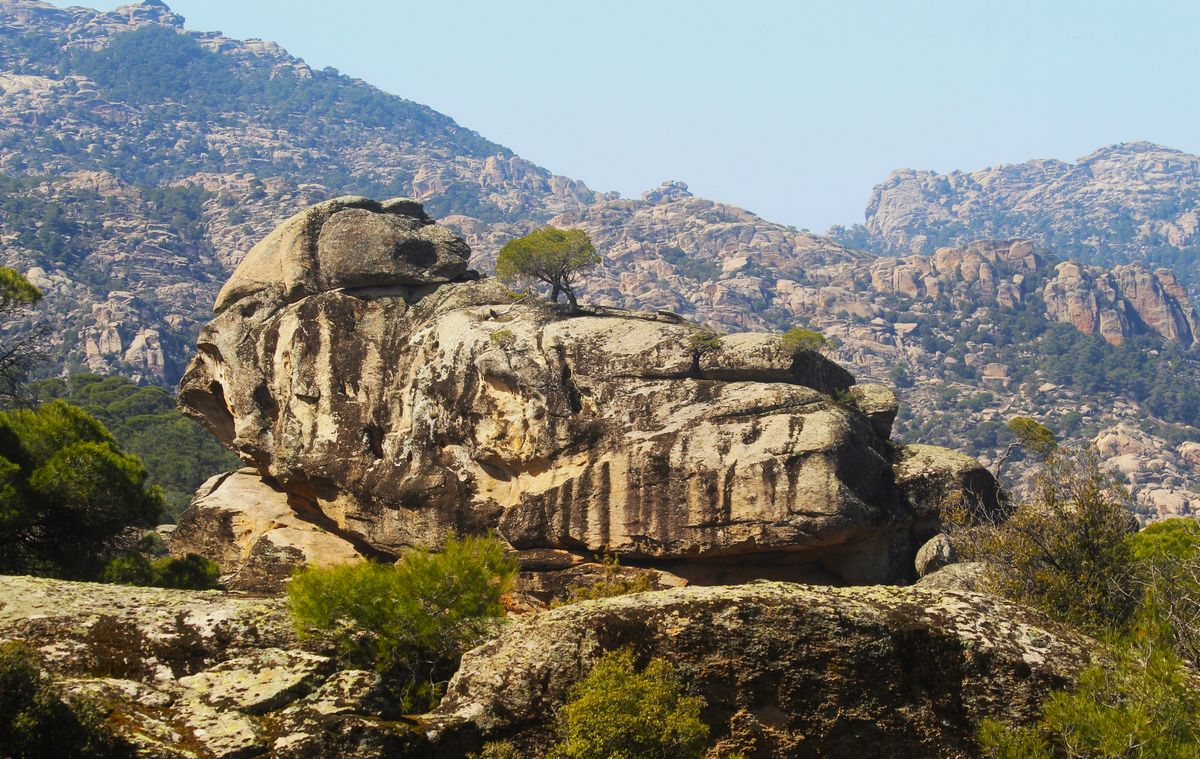 528865510 1188228150010957 5518731179920633800 N