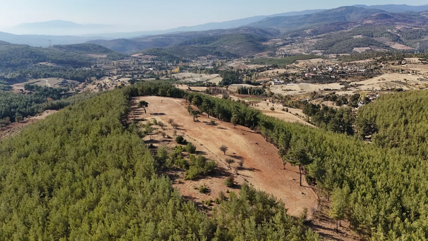 541135415 17944673562013203 2308603730522641178 N