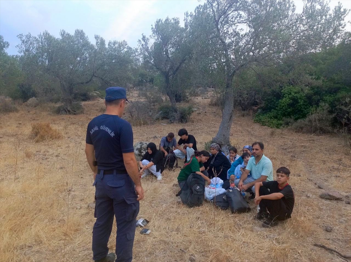 A A 20250807 38772343 38772341 I Z M I R D E 13 D U Z E N S I Z G O C M E N K U R T A R I L D I 15 D U Z E N S I Z G O C M E N Y A K A L A N D I