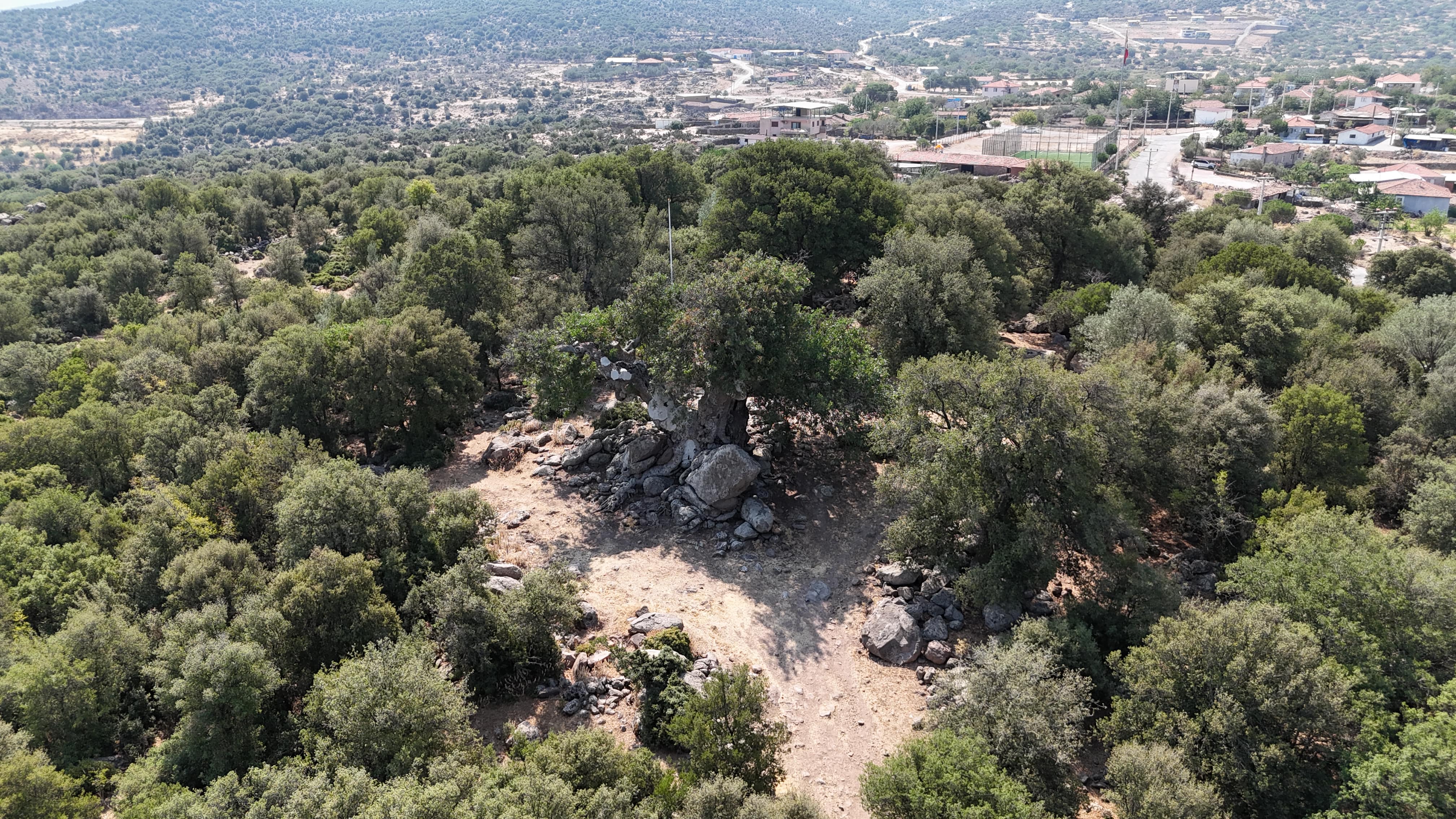 D J I 20250806110958 0028 D Min