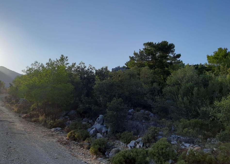 Ekran Görüntüsü 2025 08 23 211845