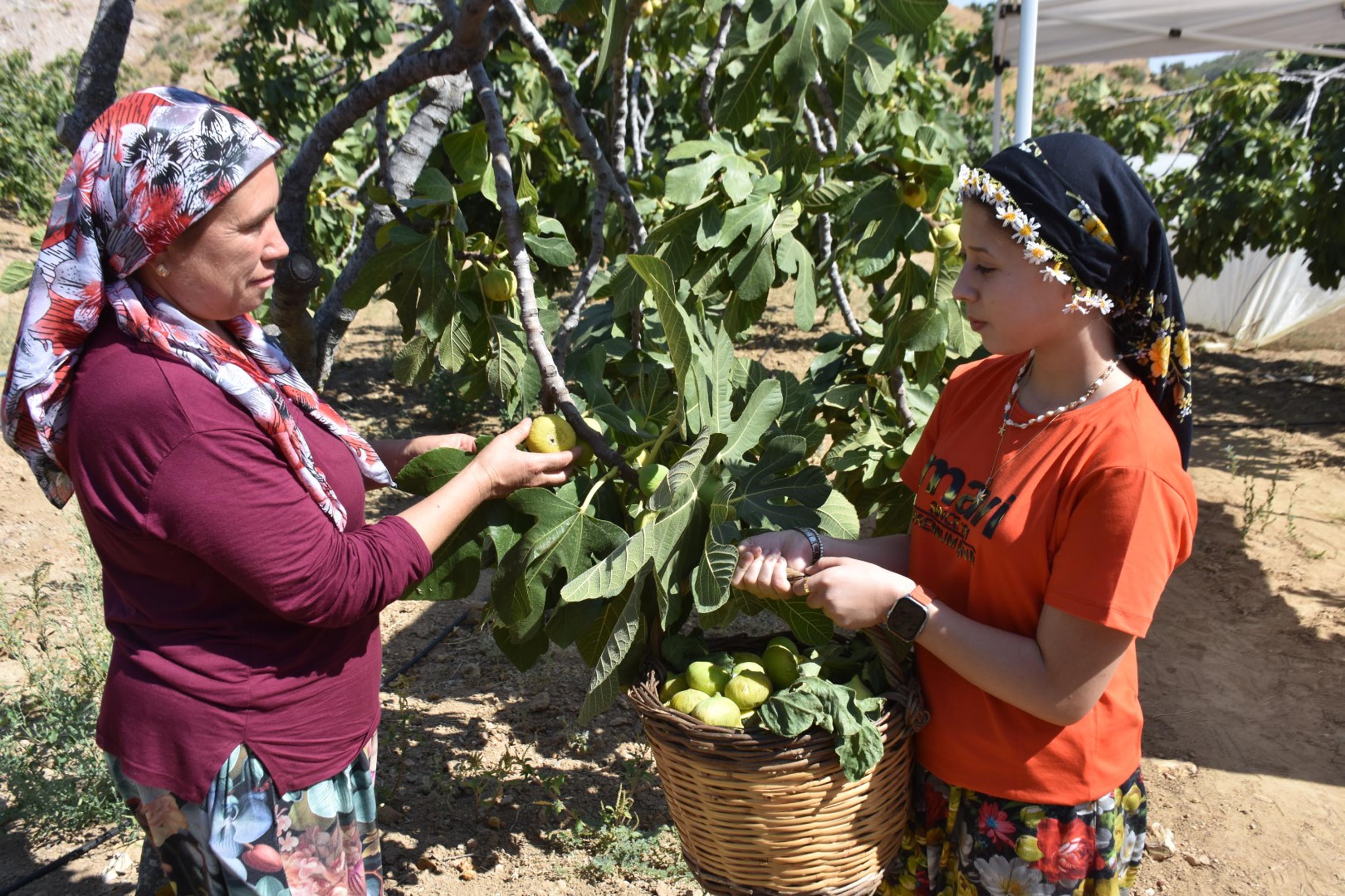 I N C I R D E H A S A T B A S L A D I K E R E V E T L E R D E K U R U 867278 257594