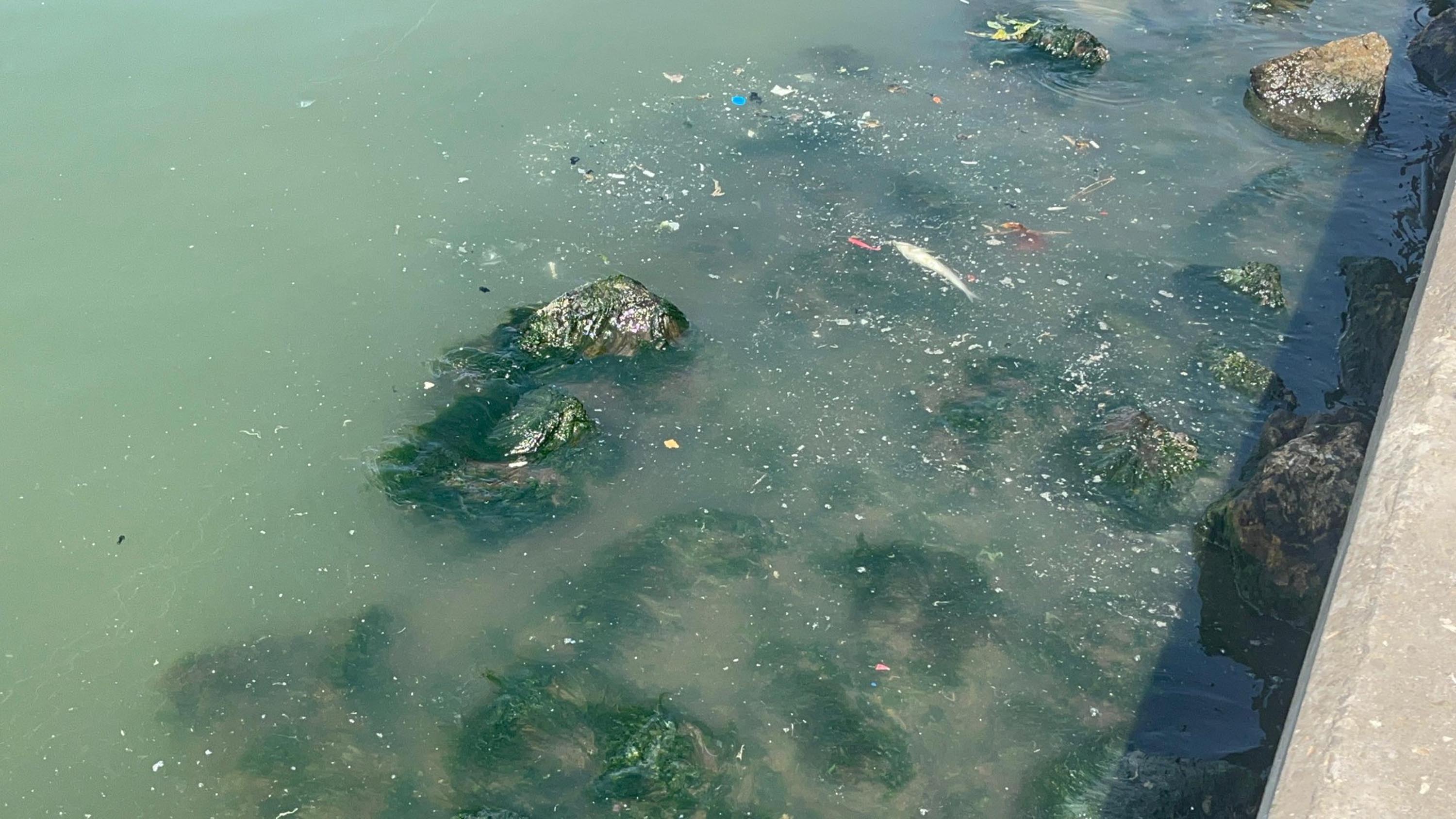 I Z M I R K O R F E Z I’ N D E P I S K O K U S U R E R K E N B A L 876542 260393