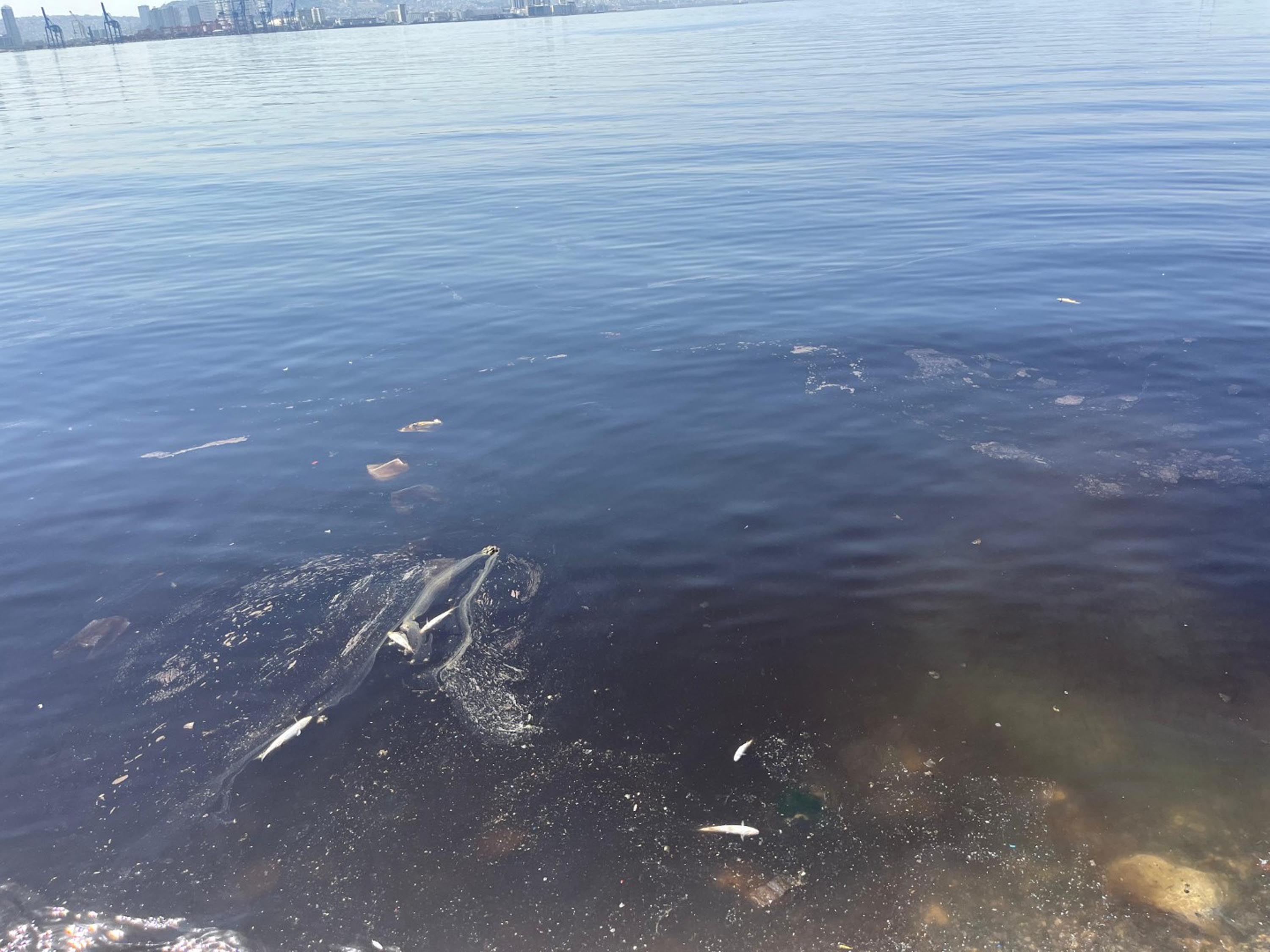 I Z M I R K O R F E Z I’ N D E P I S K O K U S U R E R K E N B A L 876544 260394