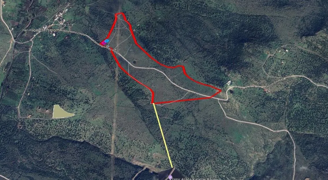 Whatsapp Image 2025 03 12 At 083054 1