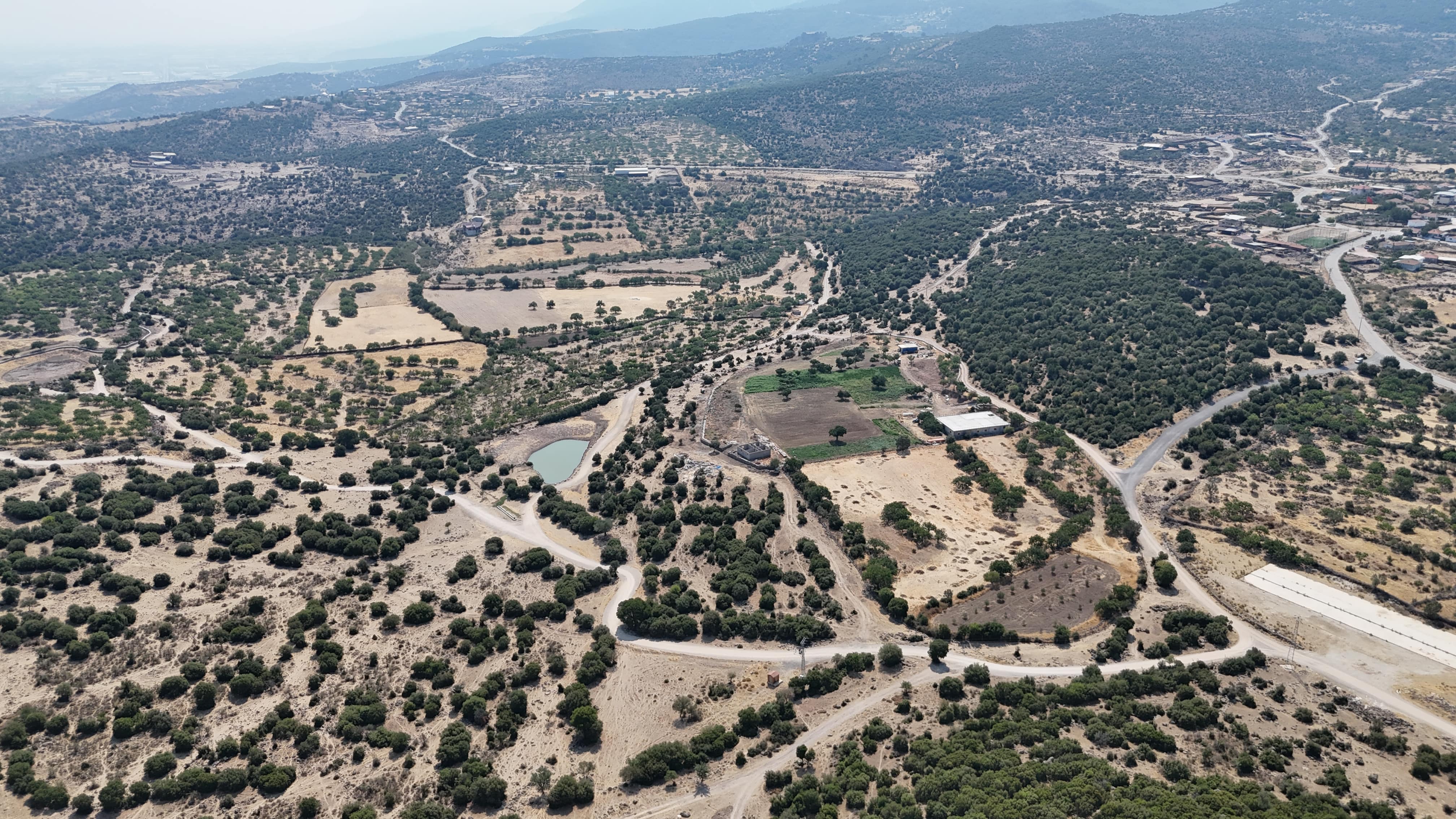 Dji 20250806110746 0018 D Min (1)