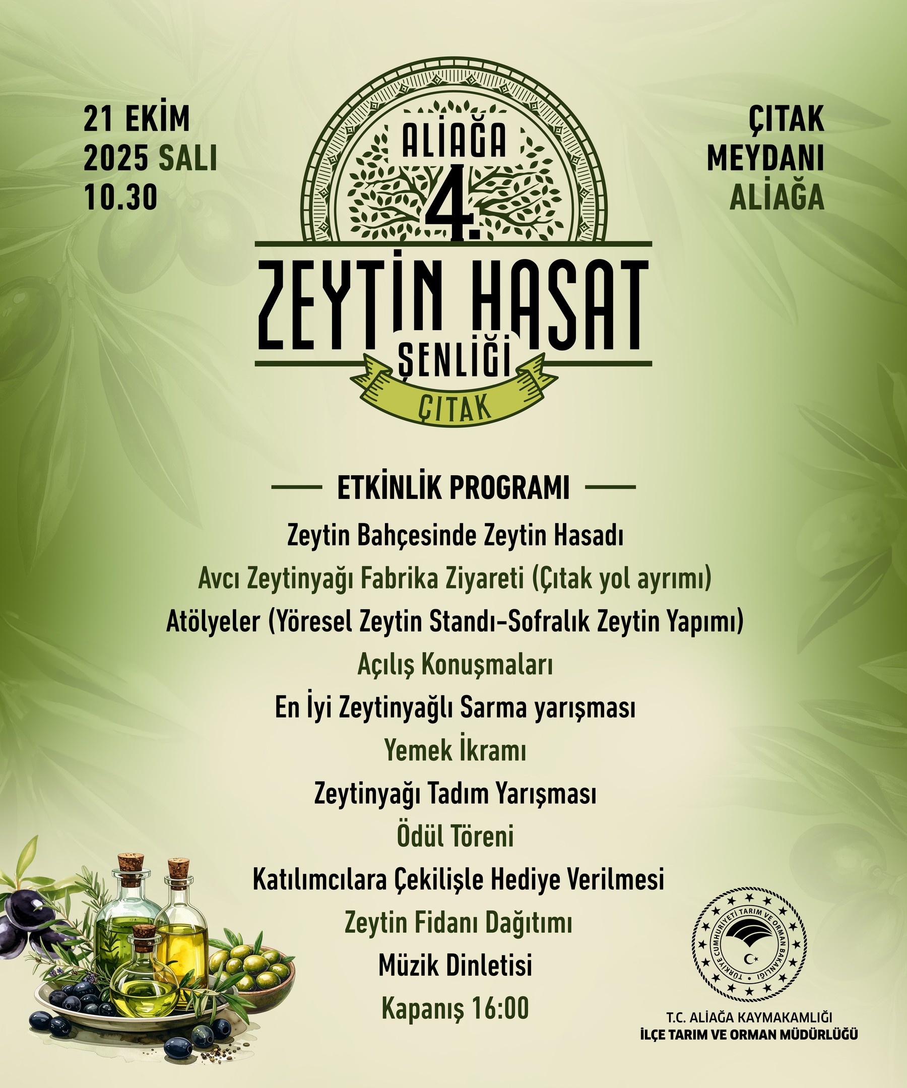 2 Aliağa, 4. Zeytin Hasat Şenliği’nde Buluşuyor