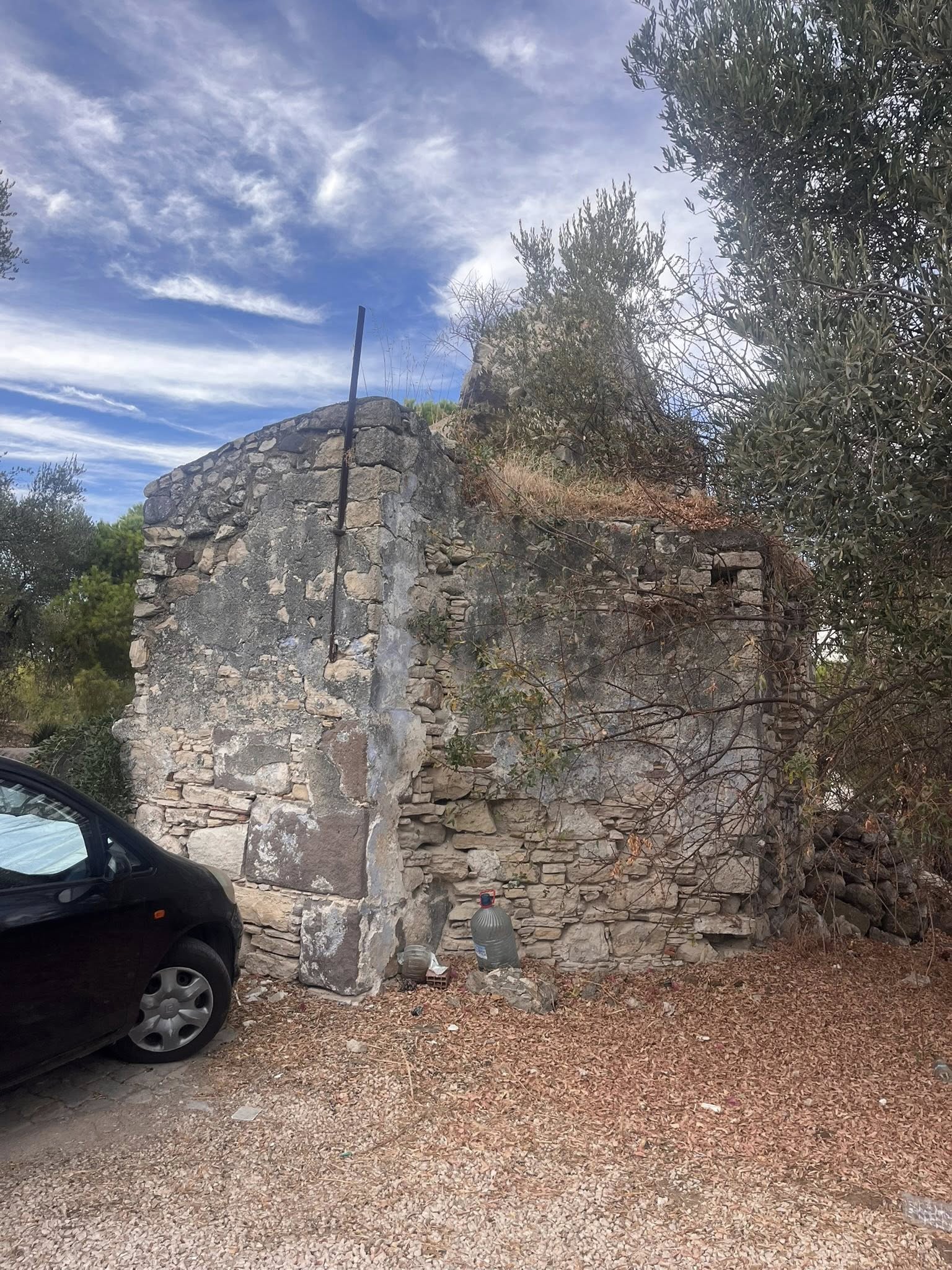 556820108 3236877553135310 1363540666938042798 N