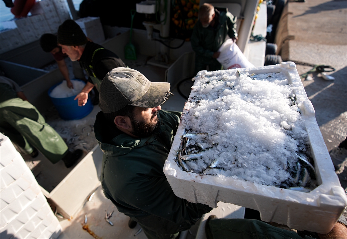 A A 20251026 39524590 39524580 E G E L I B A L I K C I L A R T A Y F A B U L M A K T A Z O R L A N I Y O R