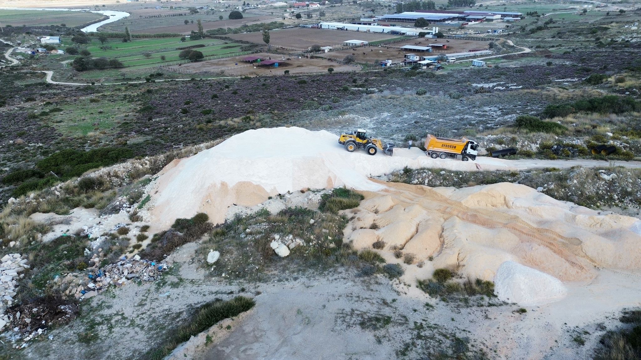 D11Aa31F E586 4472 A11B 56478Fcd9B8A