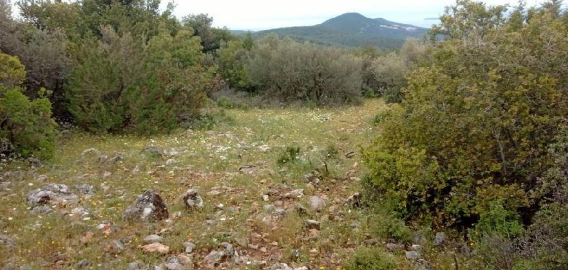 Ekran Görüntüsü 2025 10 01 114700