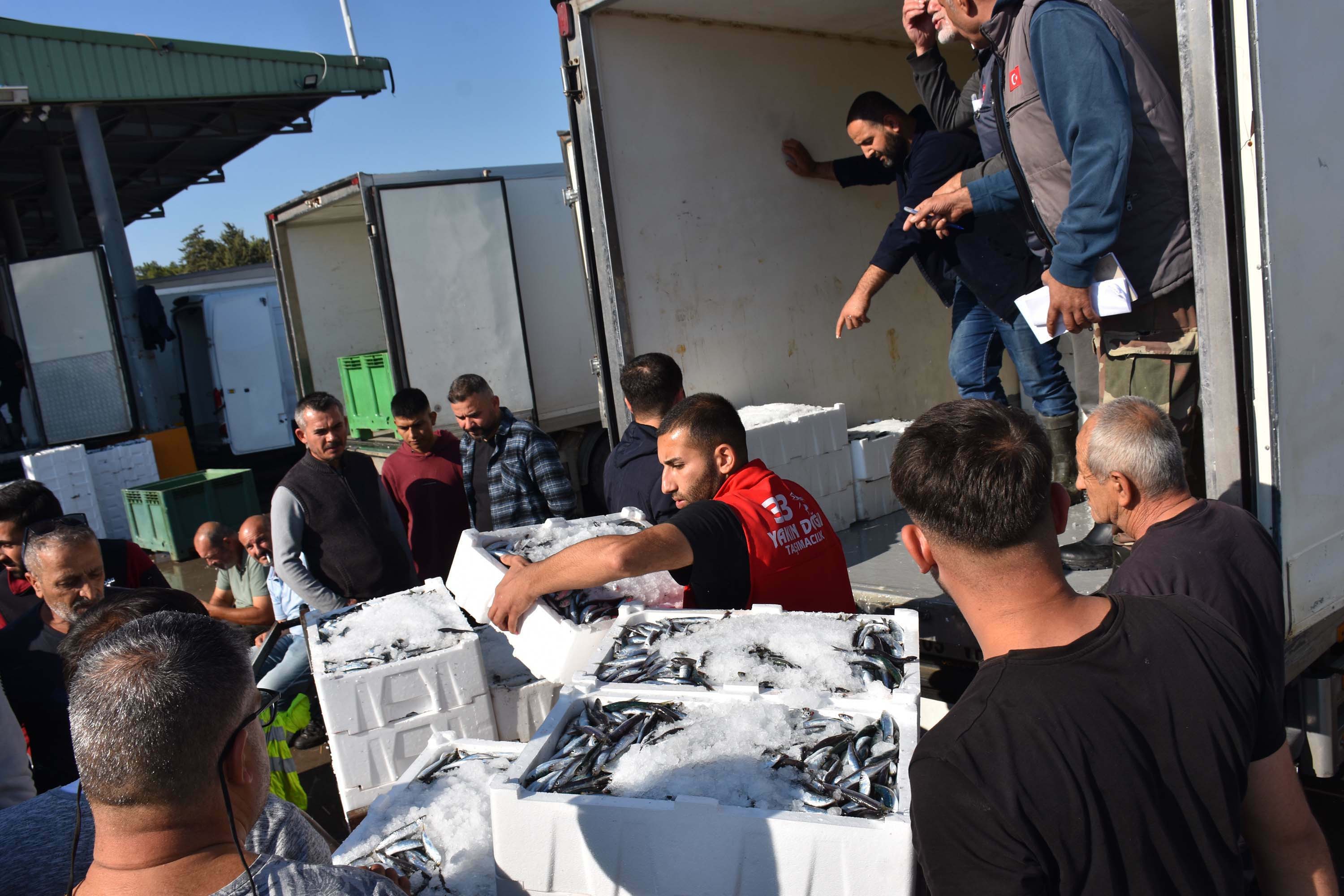 H A M S I Y E Y U R T I C I V E Y U R T D I S I N D A N G E L E N 944570 280560