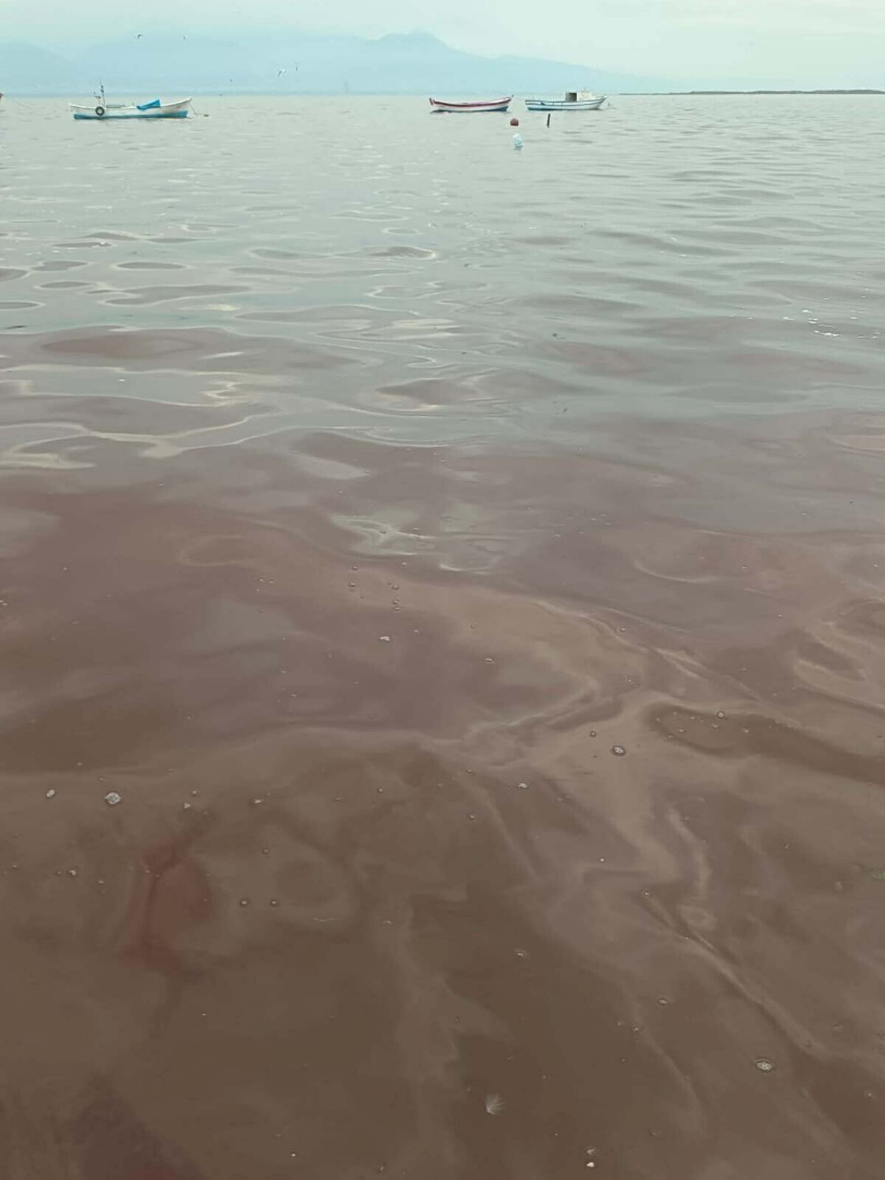 I Z M I R K O R F E Z I’ N D E K I R L I L I G E B A G L I K O T U K 972740 288869