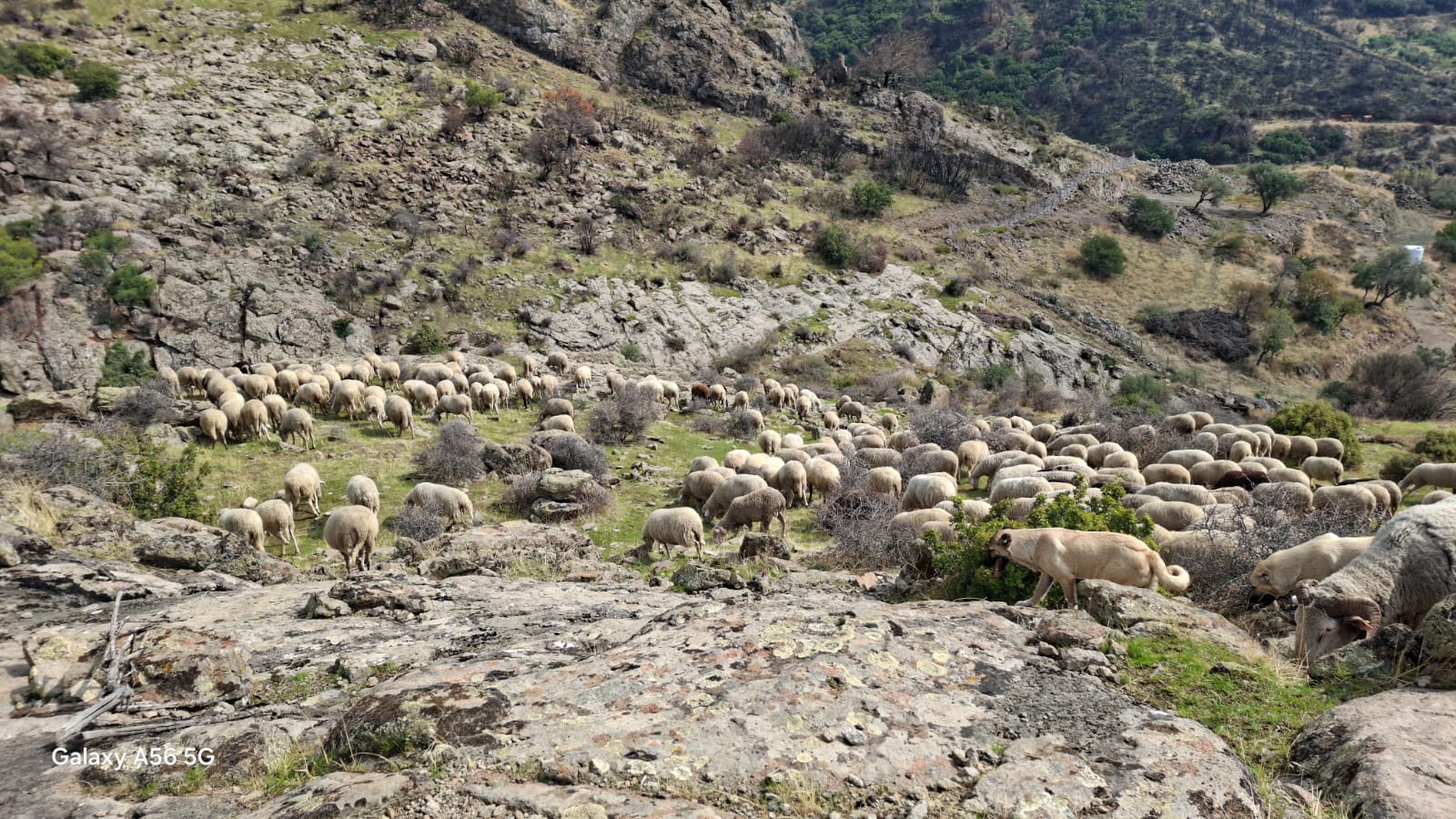 Whatsapp Image 2025 10 13 At 13.45.01