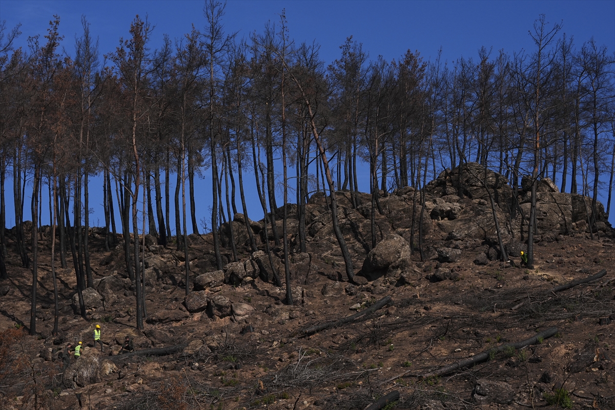 A A 20251108 39649175 39649164 Y A N A N O R M A N A L A N L A R I H U M M A L I C A L I S M A Y L A Y E N I F I D A N L A R A H A Z I R L A N I Y O R