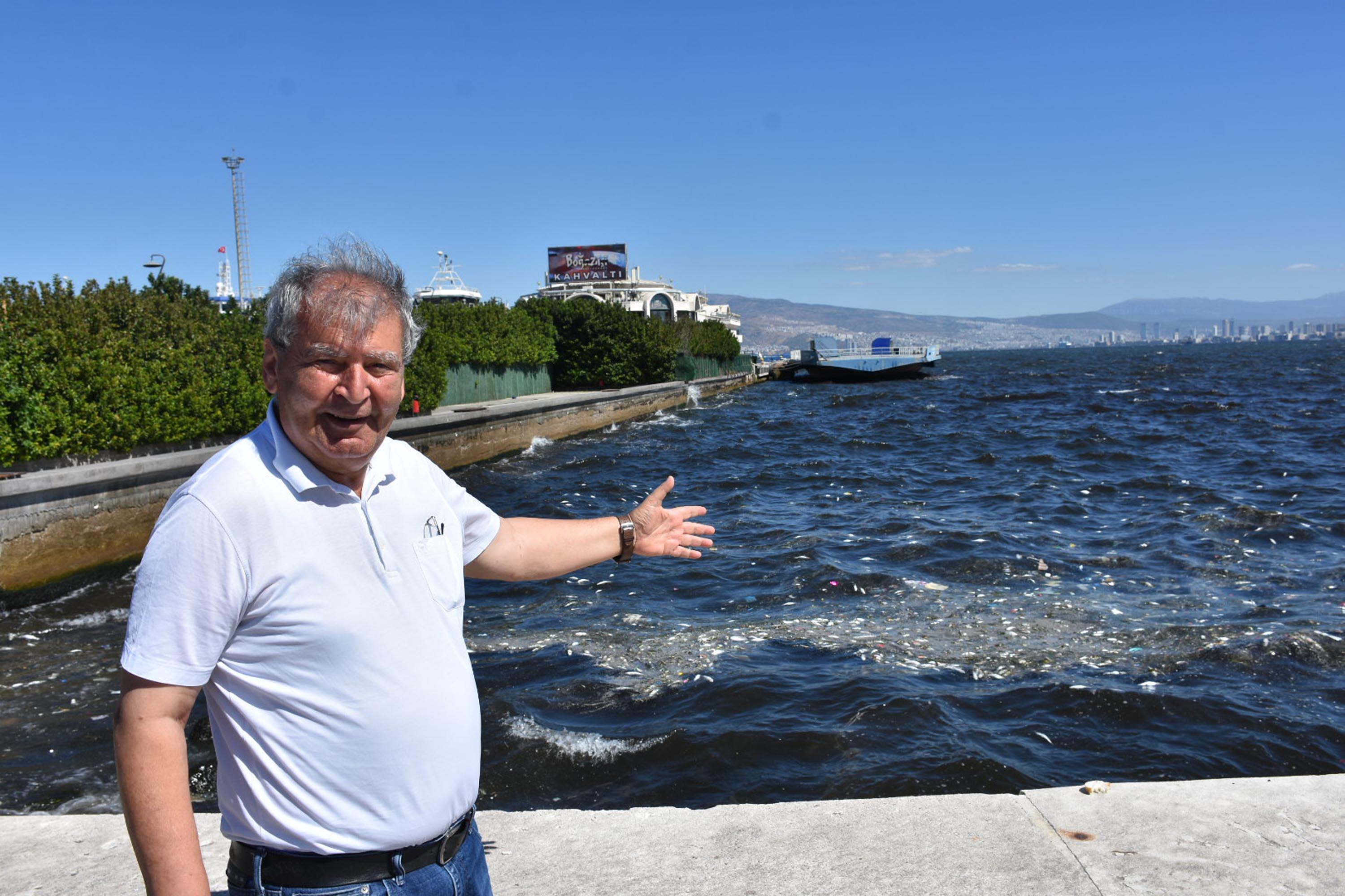 I Z M I R K O R F E Z I N D E K O T U K O K U S U R U Y O R D E N 1008813 299243