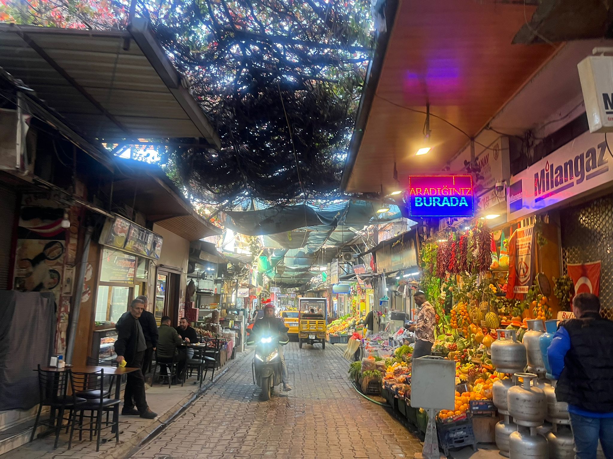 Whatsapp Image 2025 11 17 At 14.13.47 (1) (1)