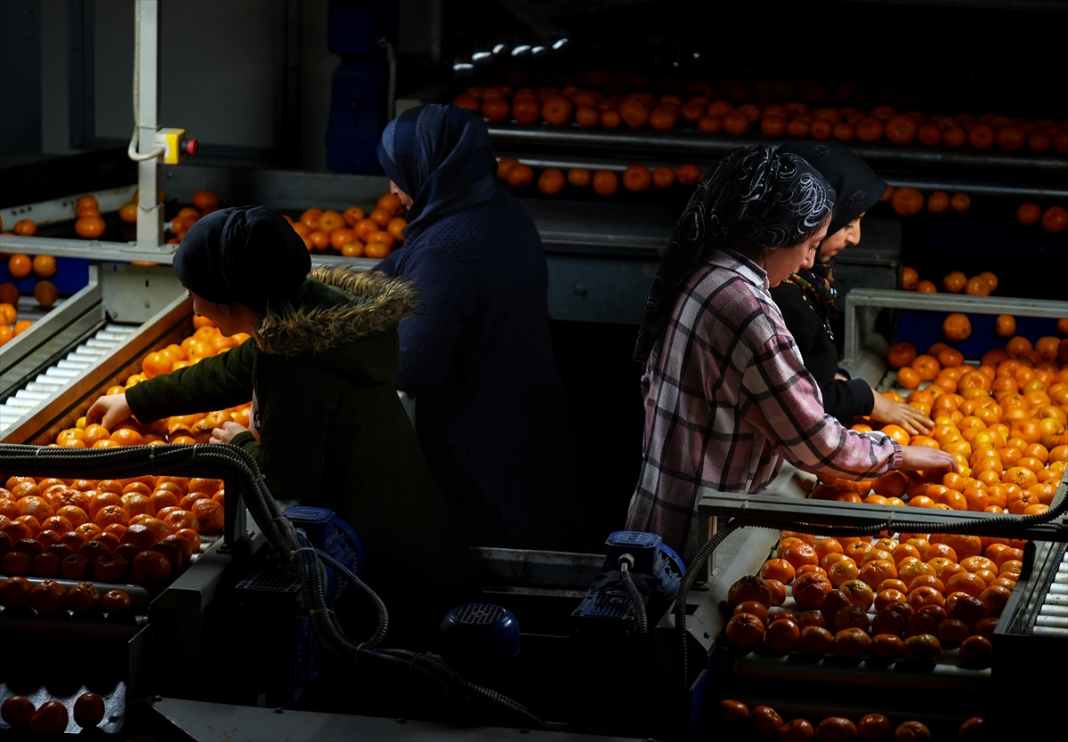 A A 20251217 40002712 40002690 T U R K I Y E N I N M A N D A L I N A I H R A C A T I R E K O R A U L A S T I