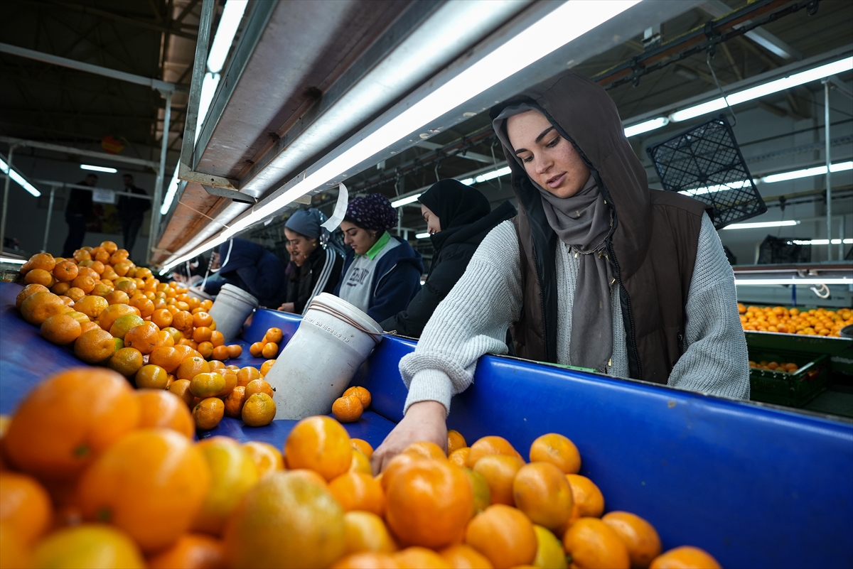 A A 20251217 40002712 40002705 T U R K I Y E N I N M A N D A L I N A I H R A C A T I R E K O R A U L A S T I