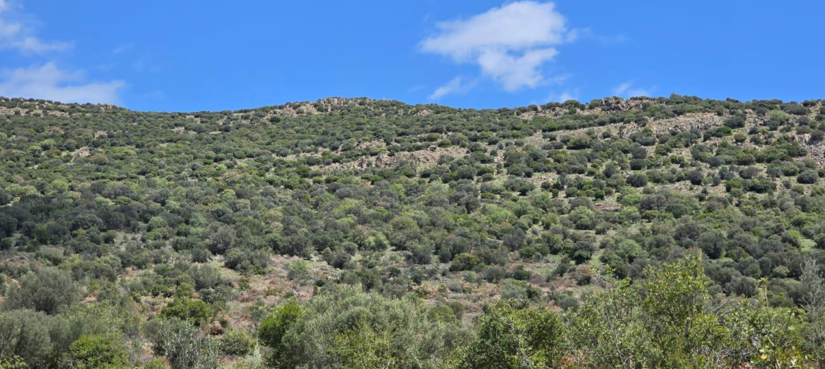 Ekran Görüntüsü 2025 12 25 123745