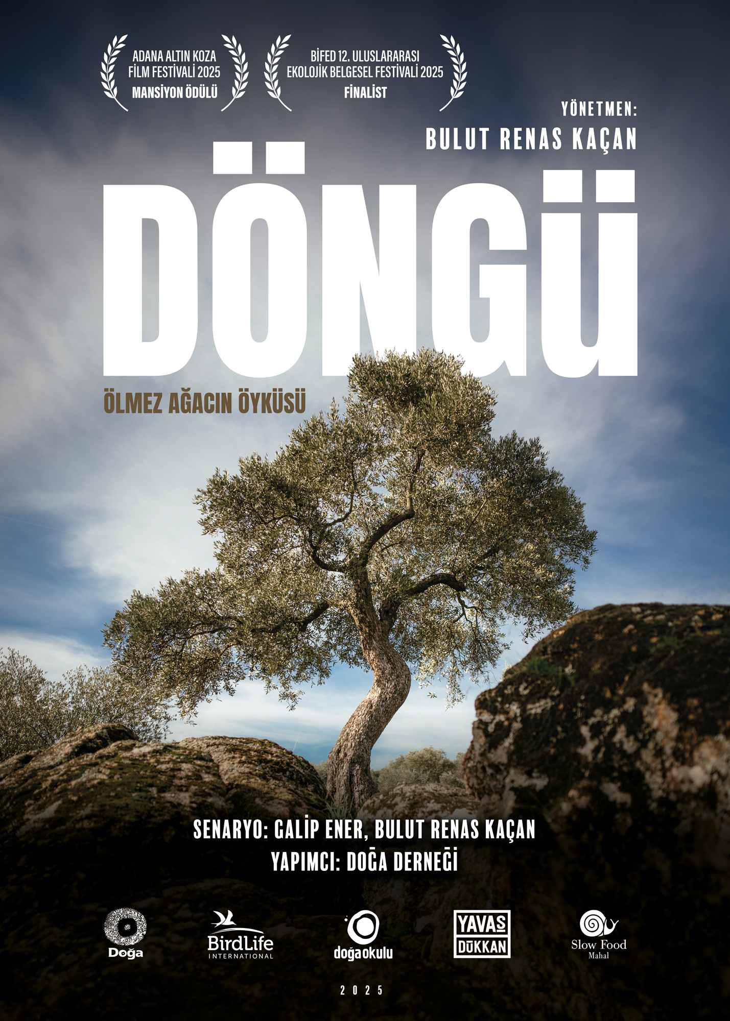 Döngü Afiş