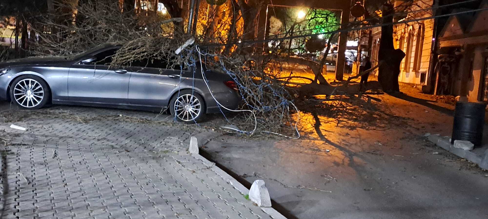 I Z M I R D E S I D D E T L I R U Z G A R O T O M O B I L I N U Z E 1103411 327560