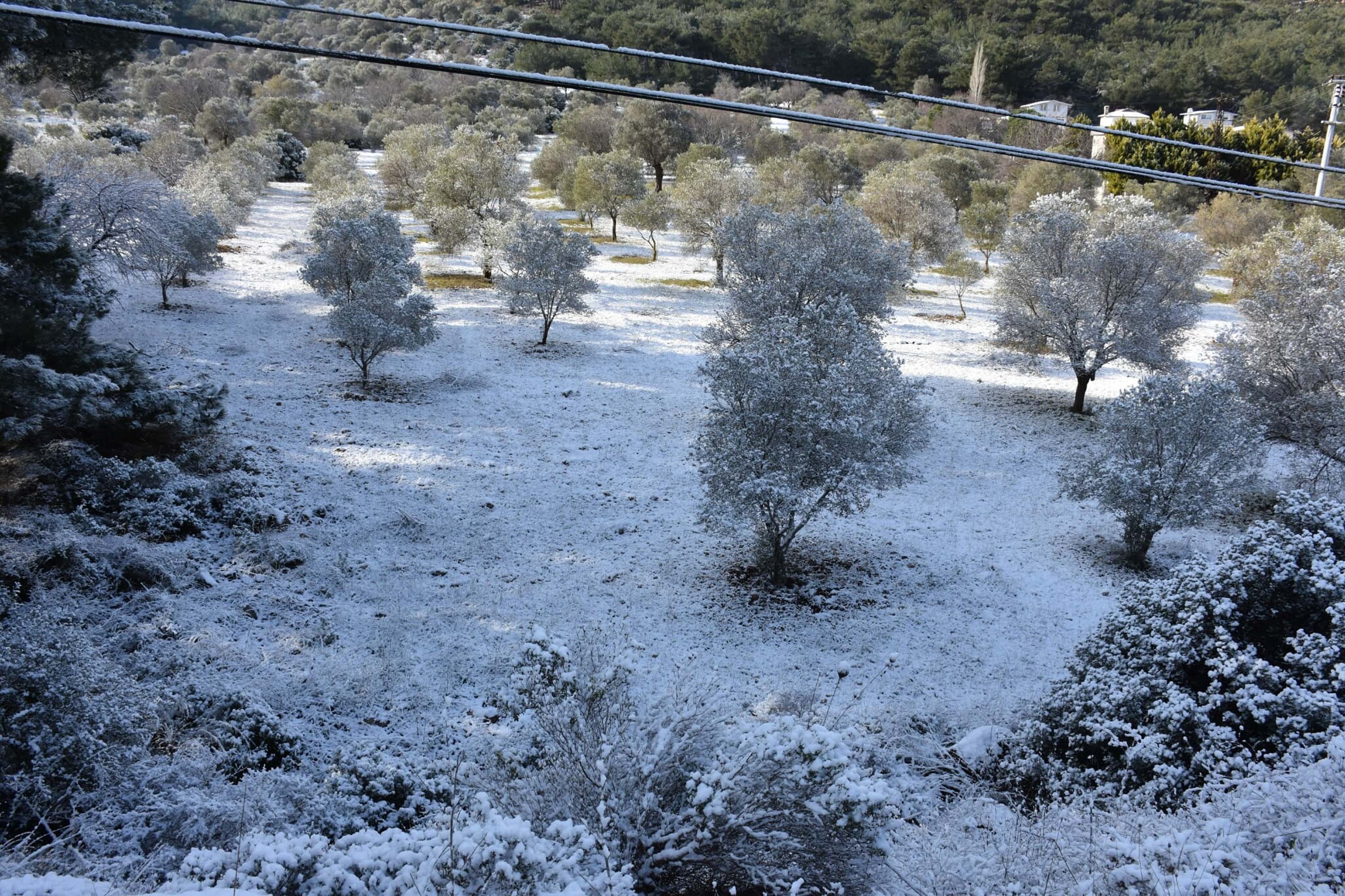 I Z M I R’ D E Y E N I Y I L I N I L K G U N U N D E K A R Y A G I 1092245 324224