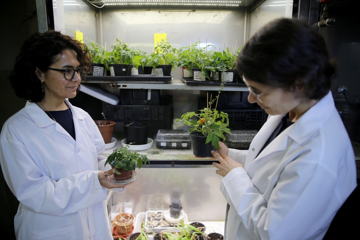 A A 20260223 40643117 40643111 T U R K B I L I M I N S A N L A R I A Y V E M A R S R E G O L I T L E R I B E N Z E R I N D E D O M A T E S Y E T I S T I R D I