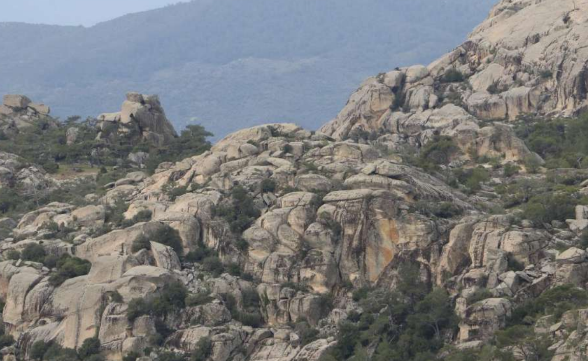 Ekran Görüntüsü 2026 02 06 202151