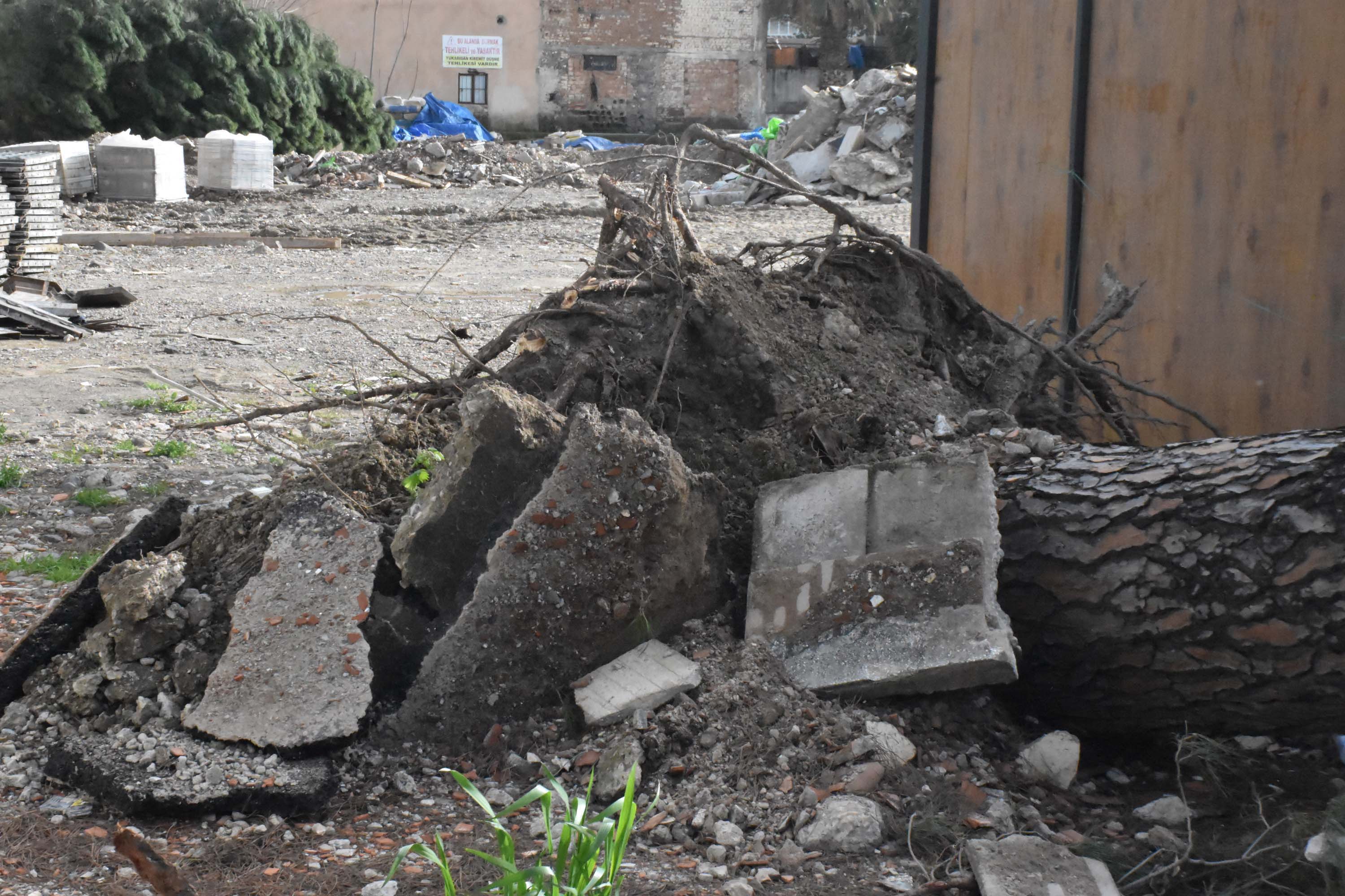 I Z M I R’ D E K U V V E T L I R U Z G A R D A P A R K H A L I N D E K 1169424 347348