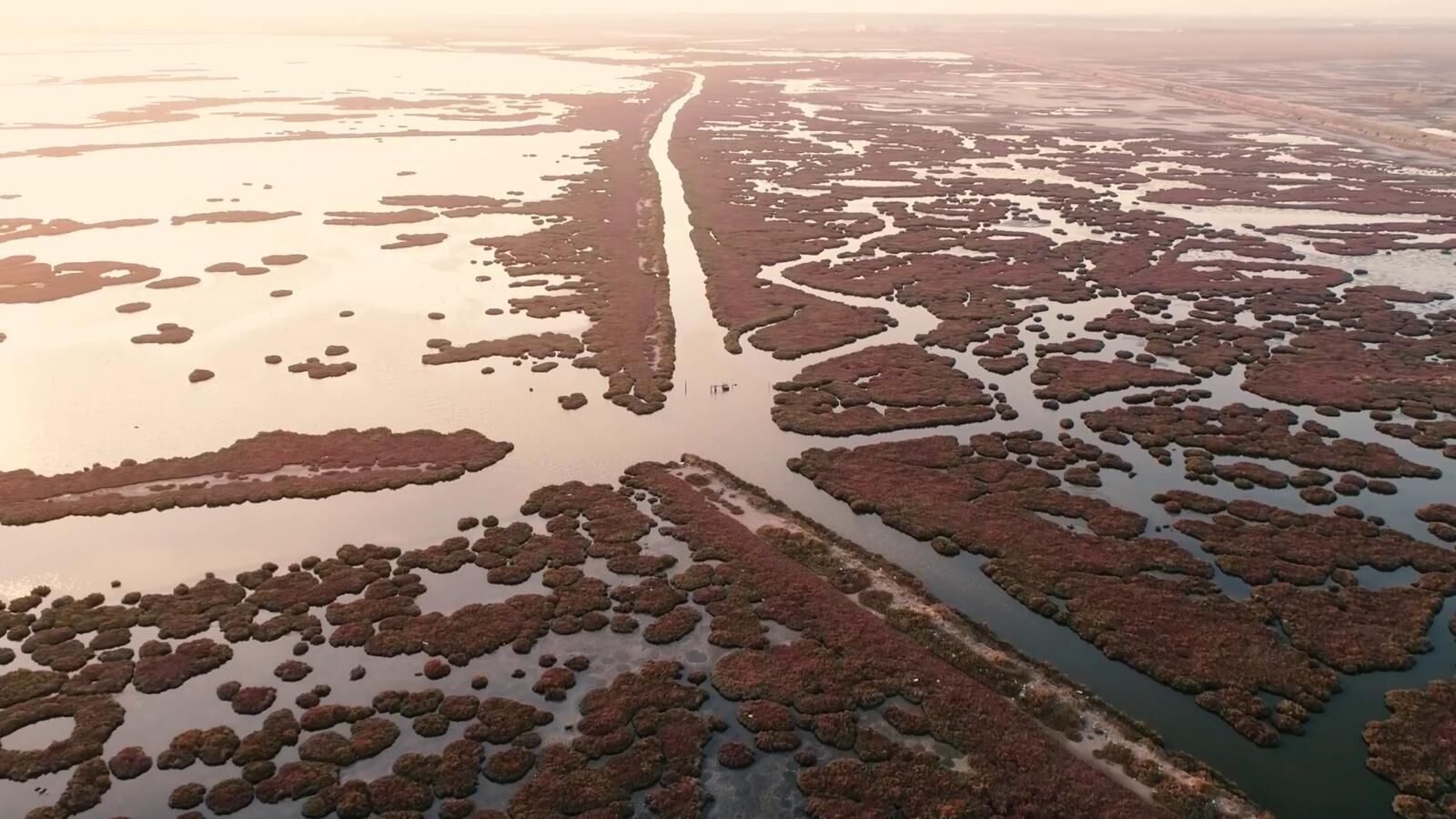 21.03.2026 Eaf400A7 4Db9 4216 9F7F E08A1A79B177