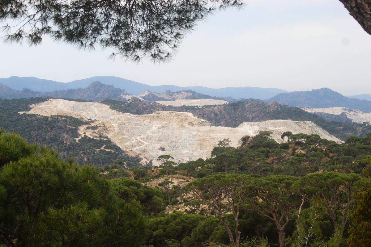 651735288 1378098311023939 7246442214522722506 N