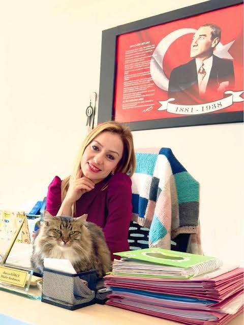 H C T9M I5 Ws A A0 S7 P