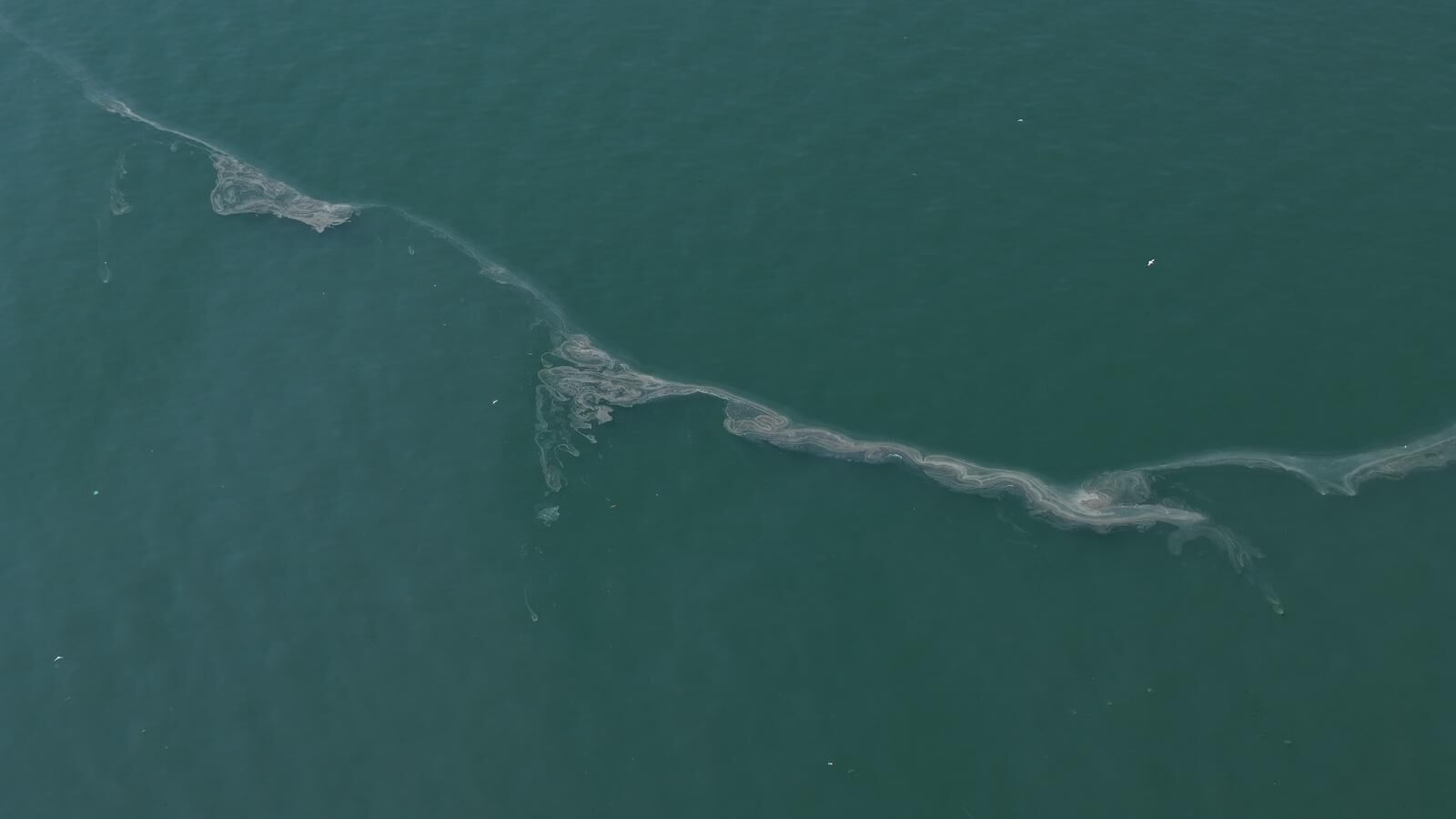 21.04.2026 71F9Bccc Cb67 4504 B8Ea Be99F4E76B97