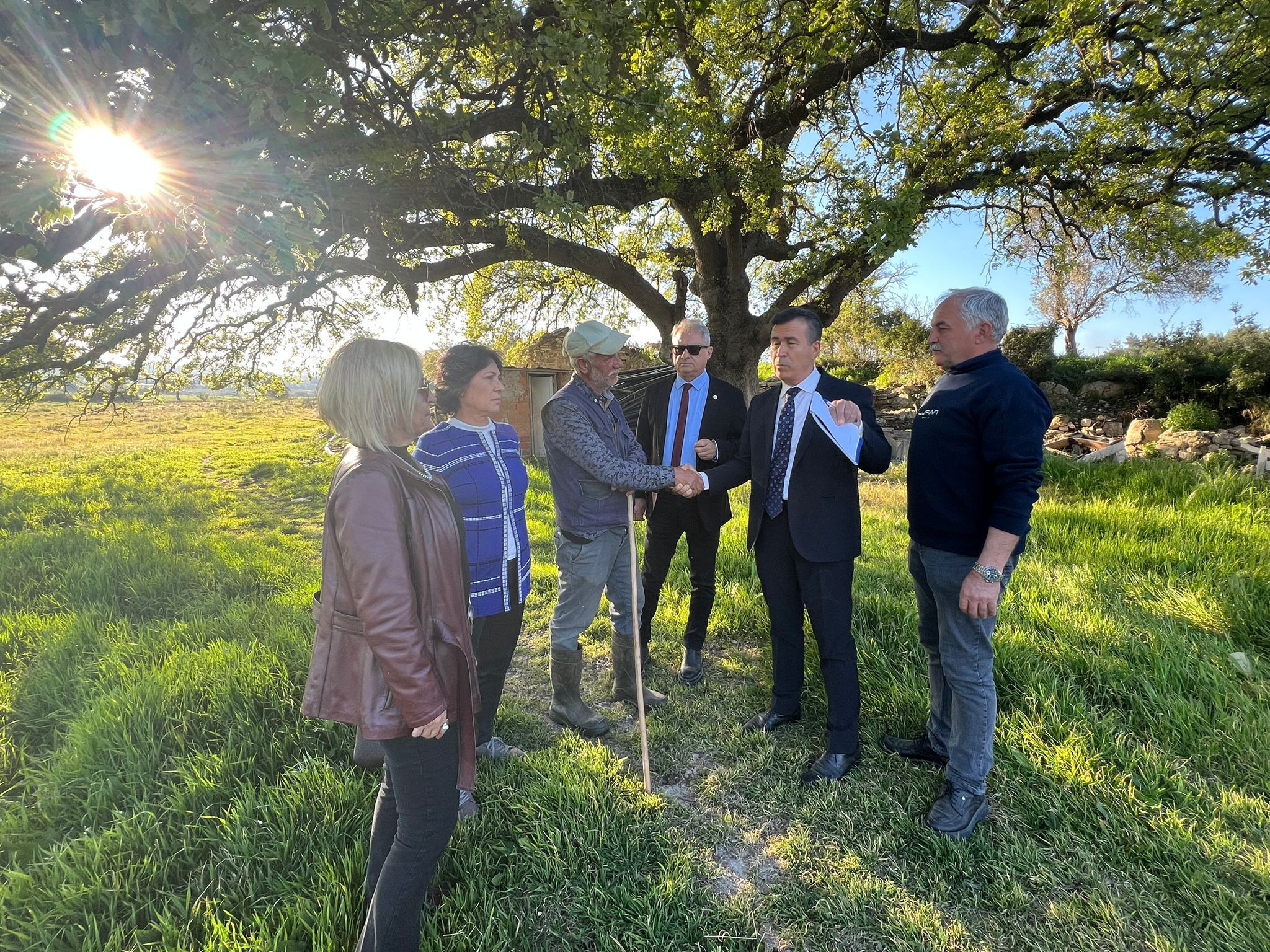 50225F28 7296 4717 B88F B6Fdc9C1F924