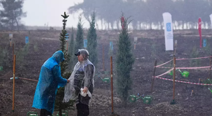 6913131Ae17C4866D30837D4