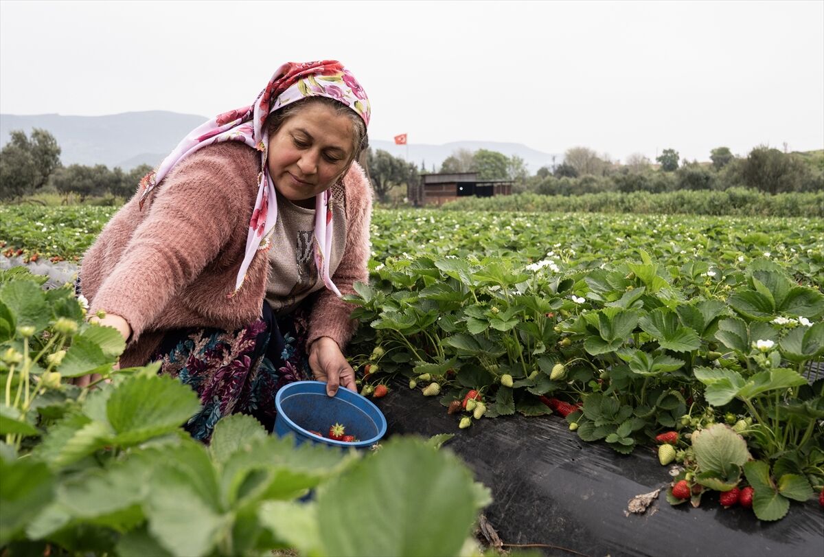 A A 20260419 41150891 41150886 A S I R I Y A G I S L A R N E D E N I Y L E H A S A D I G E C I K E N E M I R A L E M C I L E G I N D E V E R I M A R T T I