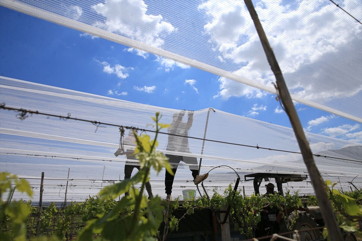 A A 20260425 41205734 41205723 M A N I S A L I U R E T I C I L E R U Z U M B A G L A R I N I D O L U T U L U I L E K O R U Y O R