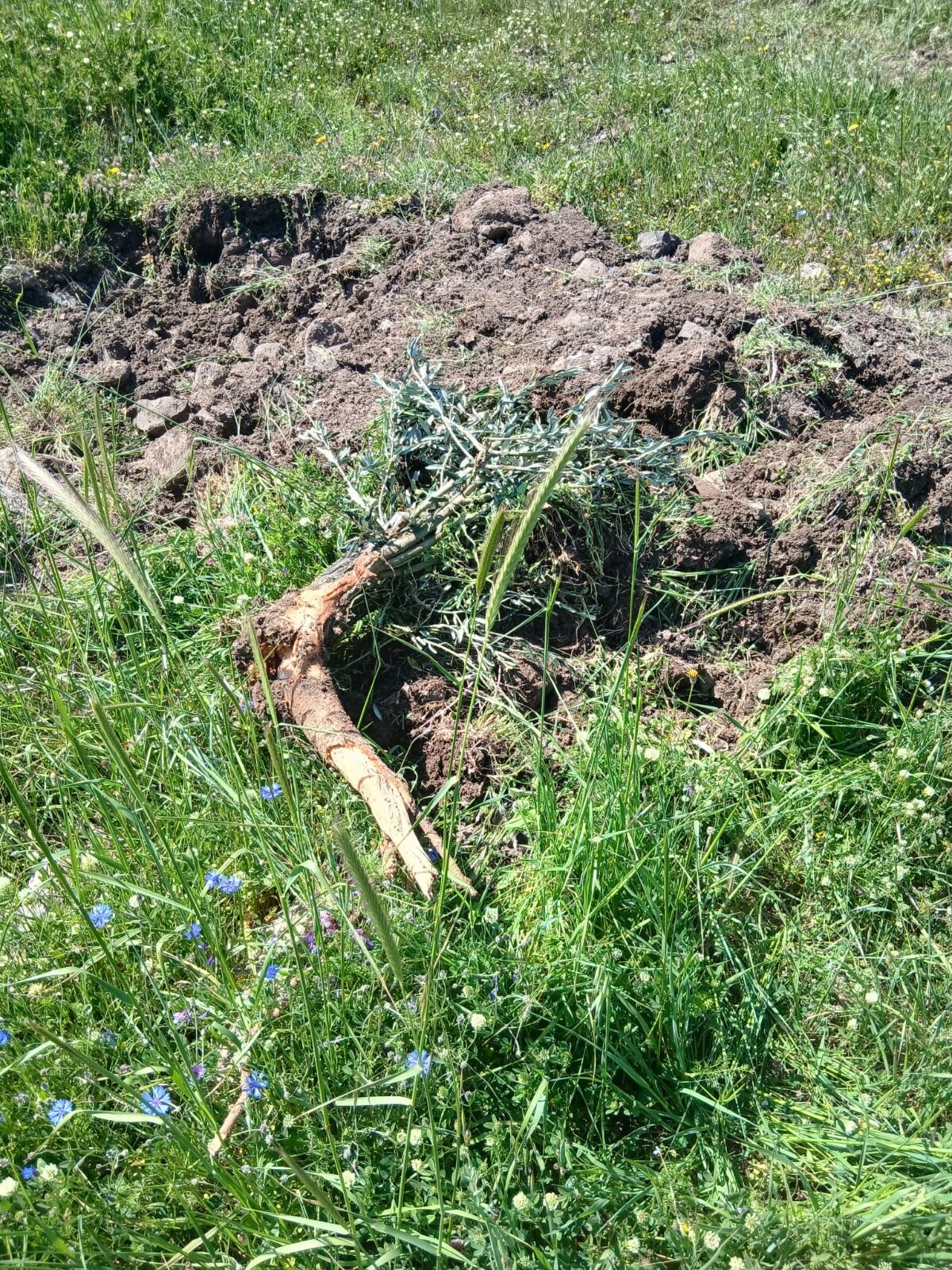 Whatsapp Image 2026 04 22 At 12.48.20